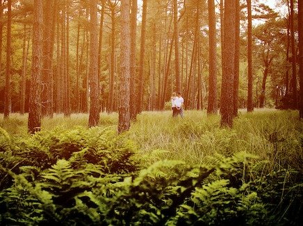 Loveshoot Strabrechtse Heide Mierlo