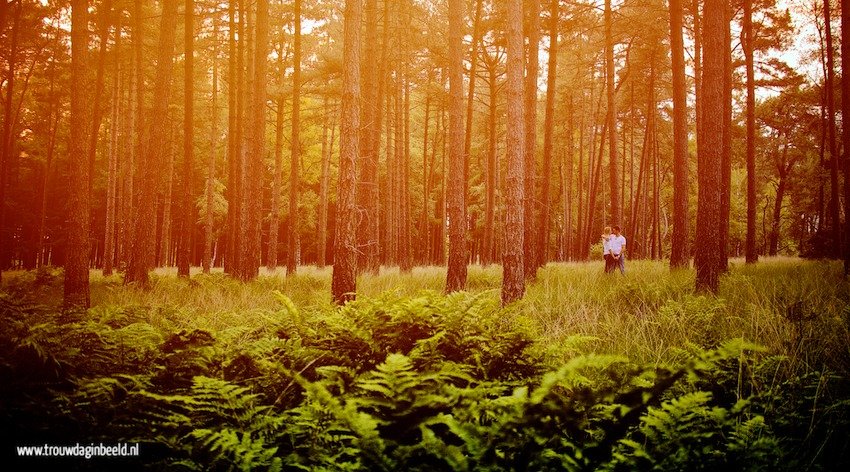 Loveshoot Strabrechtse Heide Mierlo