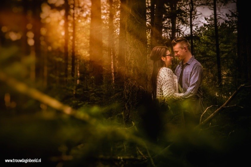 Loveshoot natuurgebied Geldrop