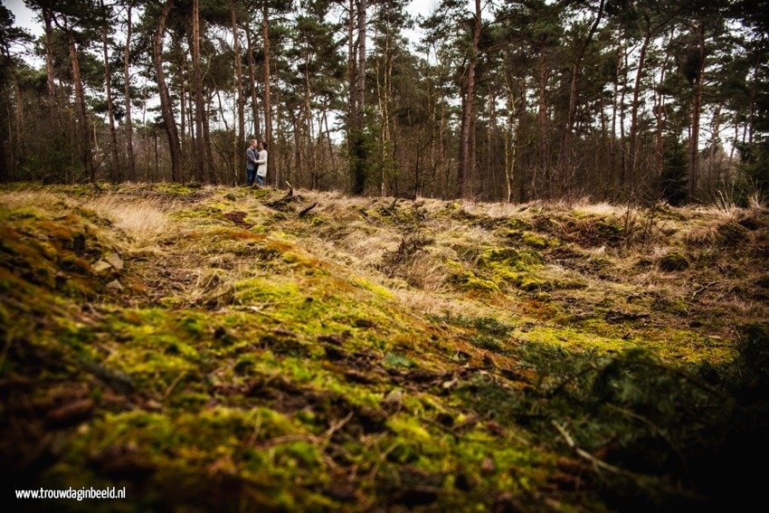 Loveshoot natuurgebied Geldrop