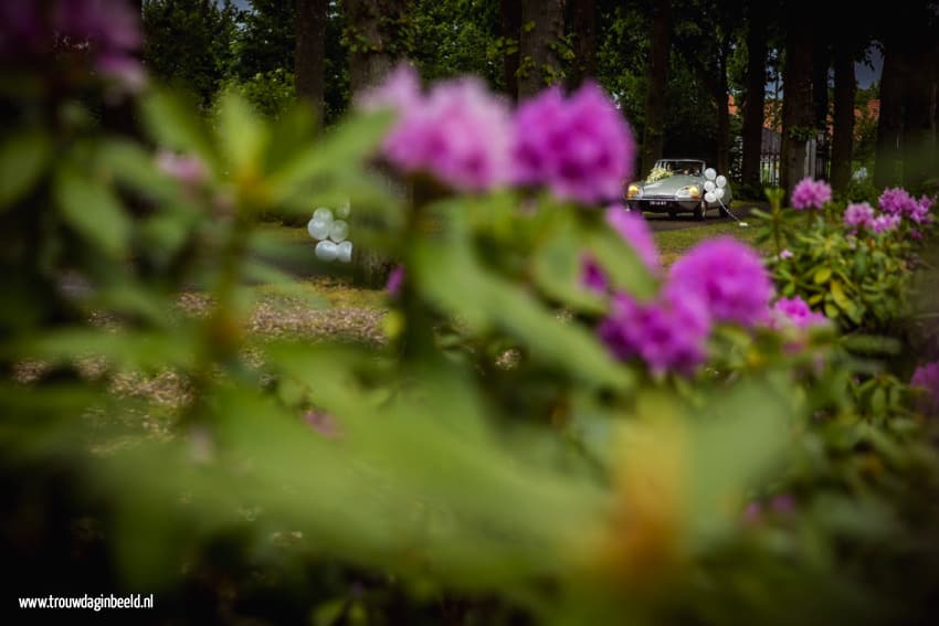 Bruidsfotografie Waalre en Baarlo