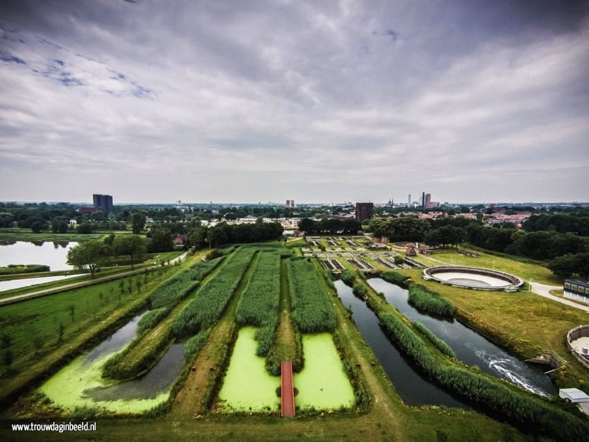 Bruidsfotografie natuurgebied Moerenburg Tilburg