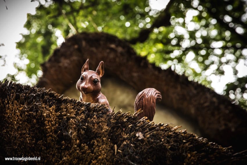 Trouwreportage Sprookjesbos Efteling