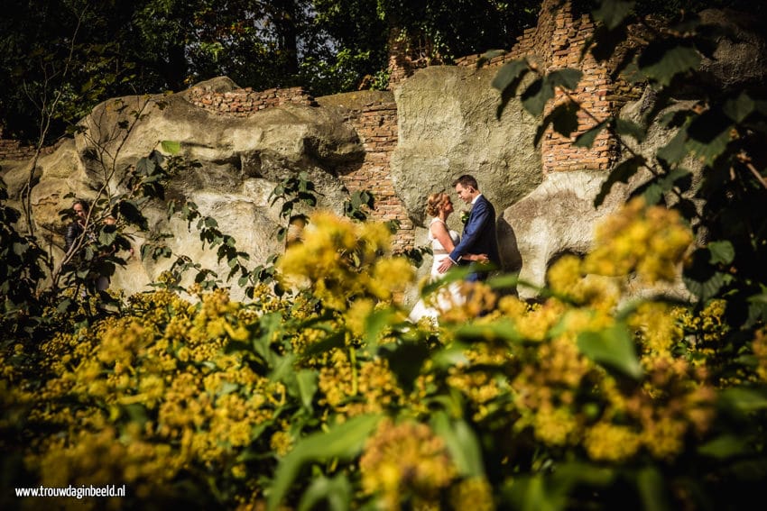 Trouwreportage Sprookjesbos Efteling