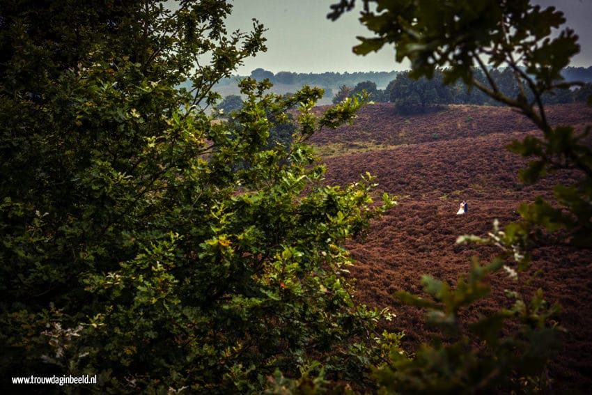 Trouwreportage Nationaal Park Veluwezoom