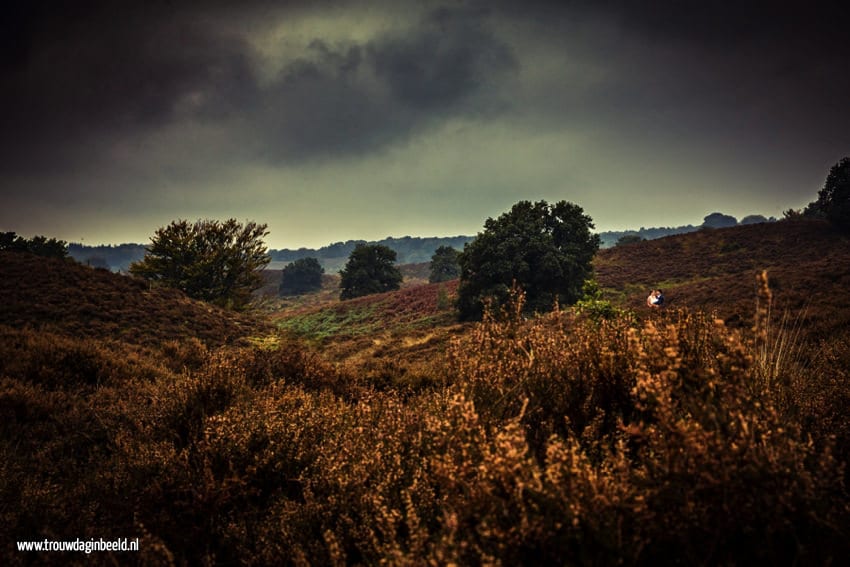 Trouwreportage Nationaal Park Veluwezoom