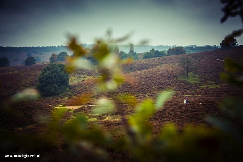 Trouwreportage Nationaal Park Veluwe