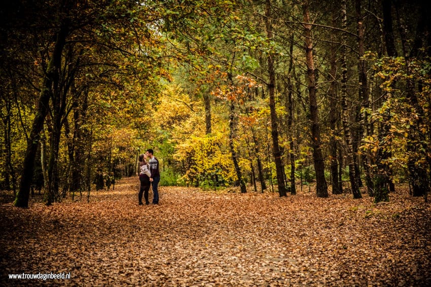 Loveshoot bossen Geldrop