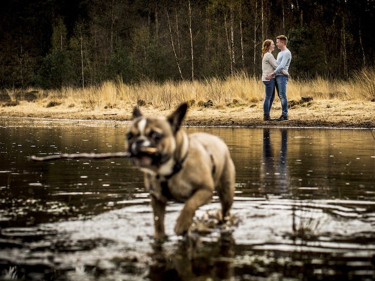 Loveshoot in het bos van Mierlo