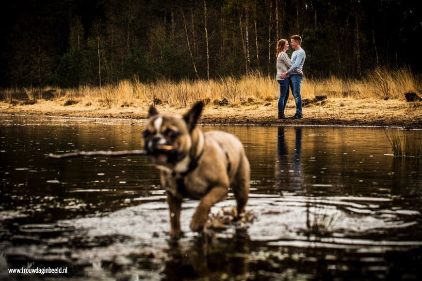 Loveshoot in het bos van Mierlo