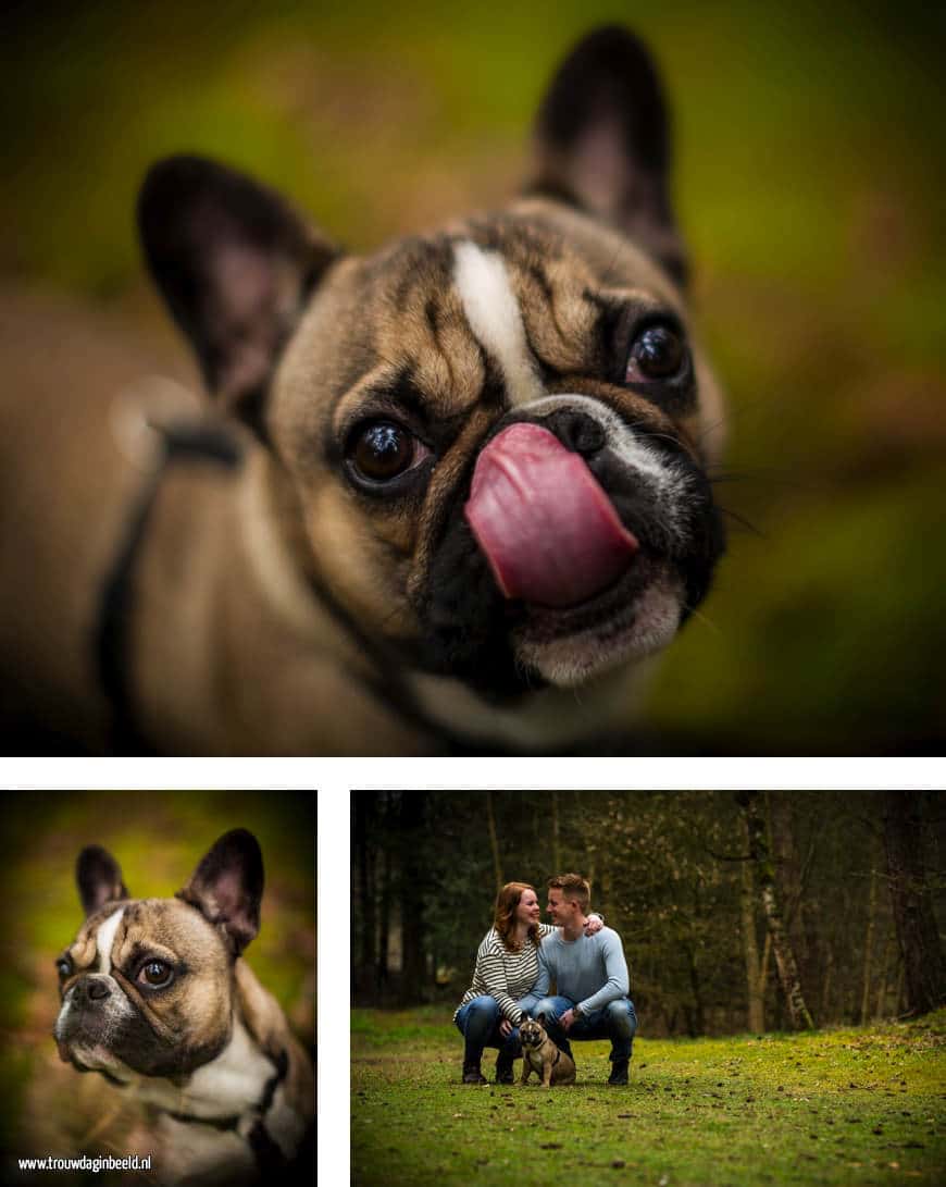 Loveshoot in de bossen van Mierlo