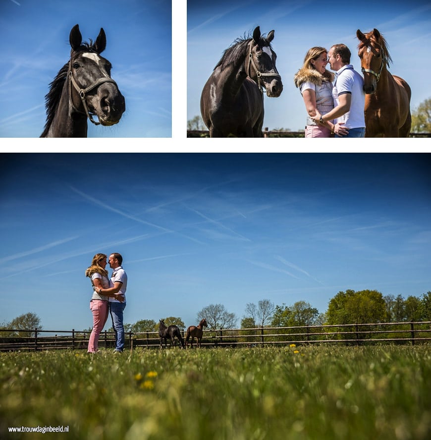 Loveshoot met paarden