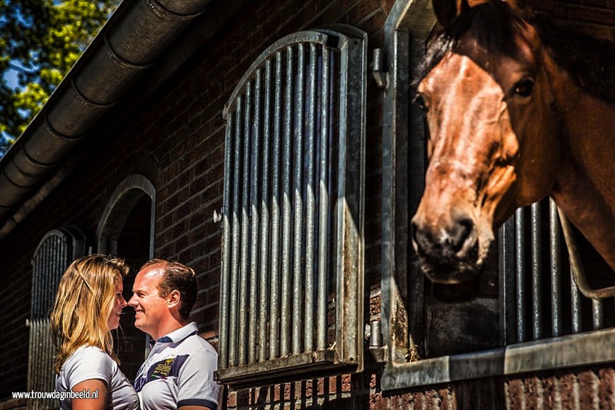 Loveshoot met paarden