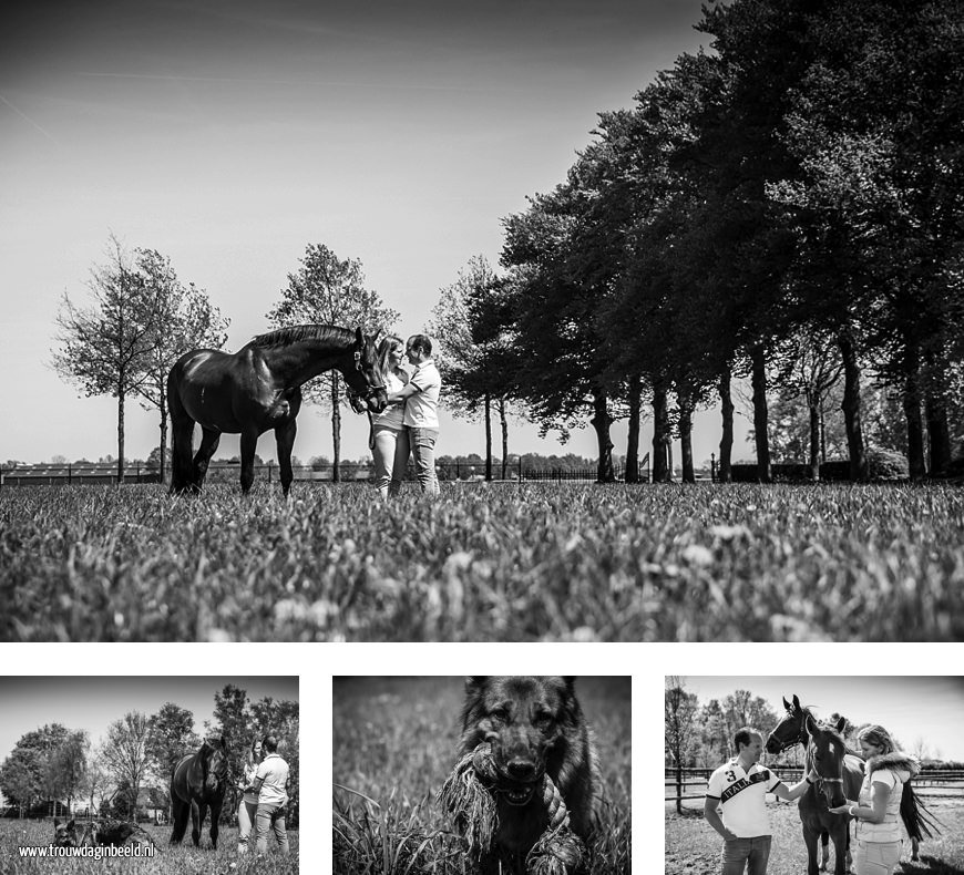 Loveshoot met paarden