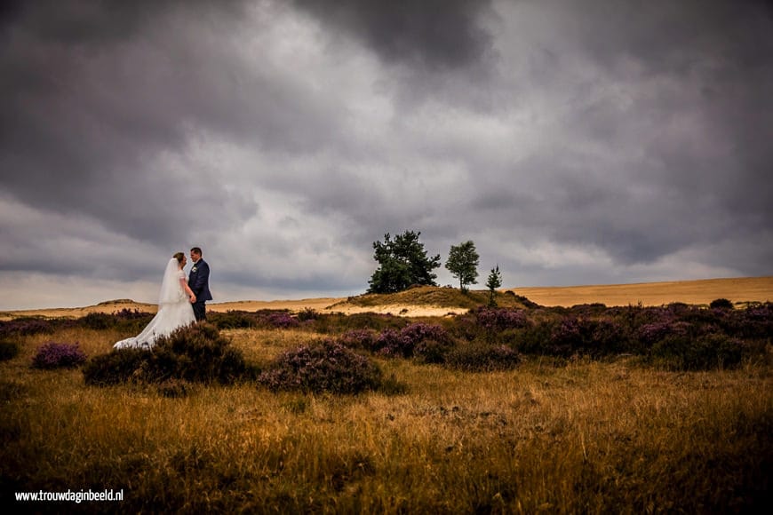 Trouwreportage Nationaal Park De Hoge Veluwe