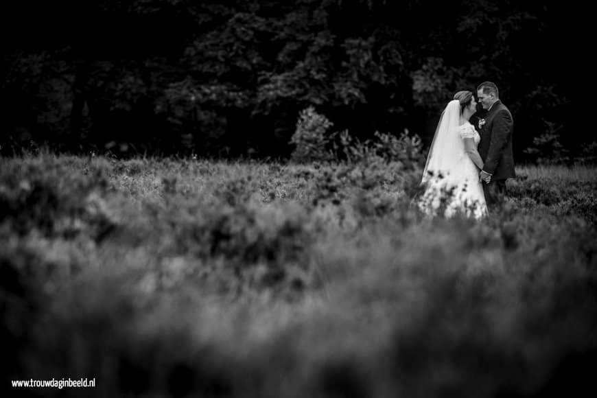 Trouwreportage Nationaal Park De Hoge Veluwe