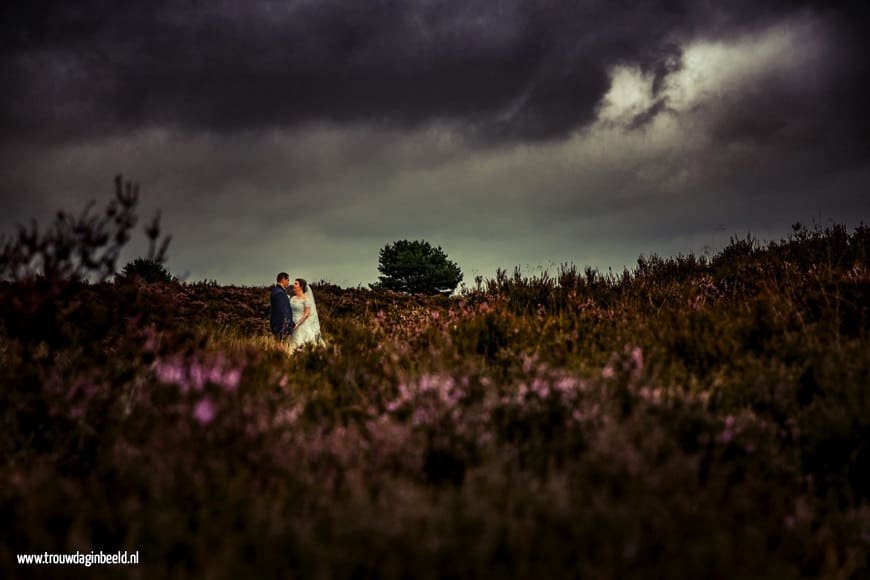 Trouwreportage Nationaal Park De Hoge Veluwe