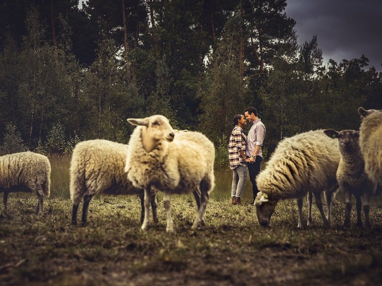 Loveshoot Natuurgebied Lisven Mierlo