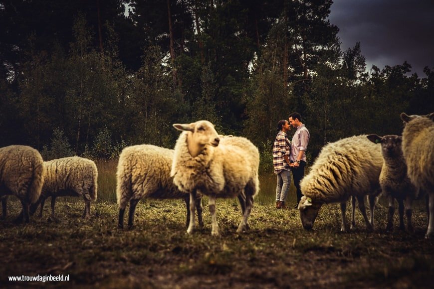 Loveshoot Natuurgebied Lisven Mierlo