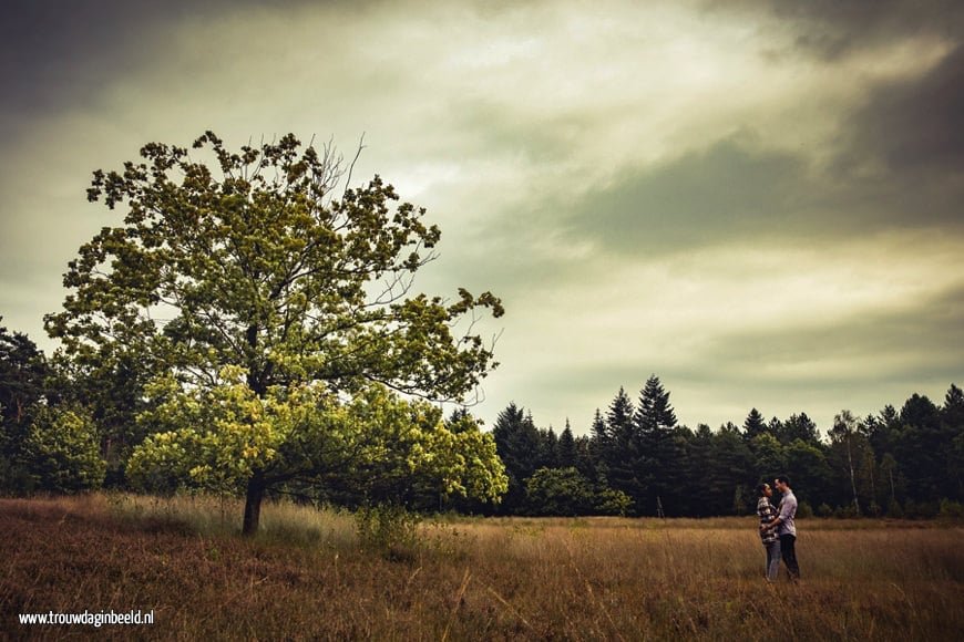 Loveshoot Natuurgebied Lisven Mierlo