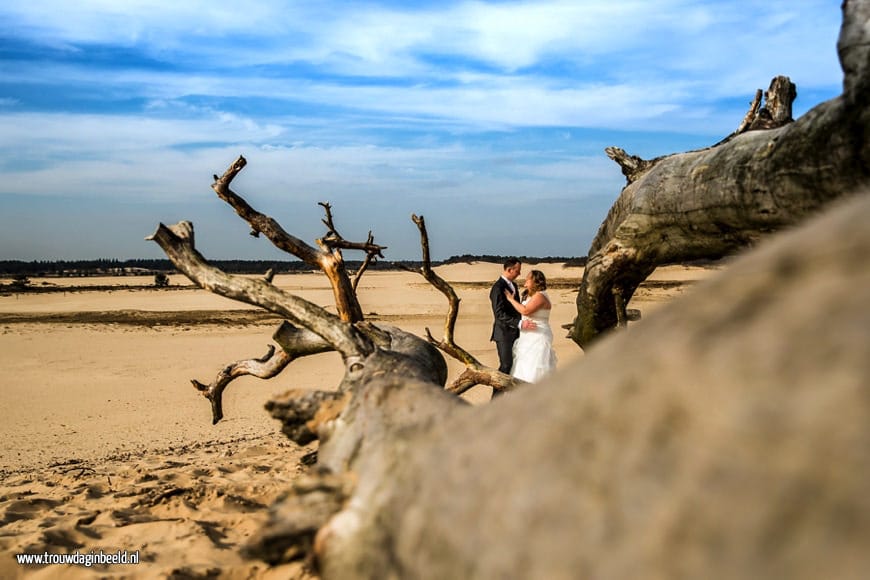 Trouwreportage Loonse en Drunense duinen