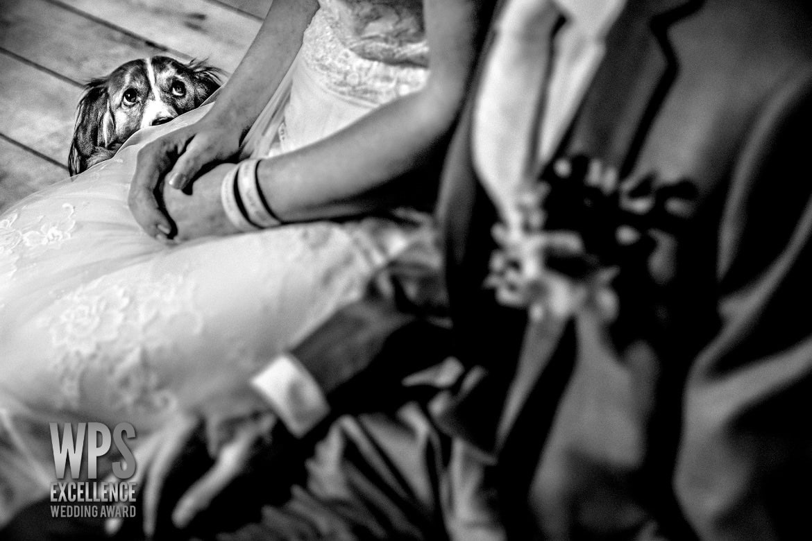 Winnaar 3 WPS Excellence bruidsfotografie awards