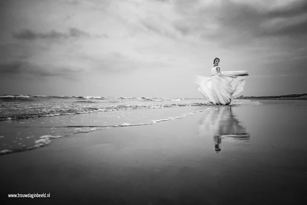 Trash the Dress