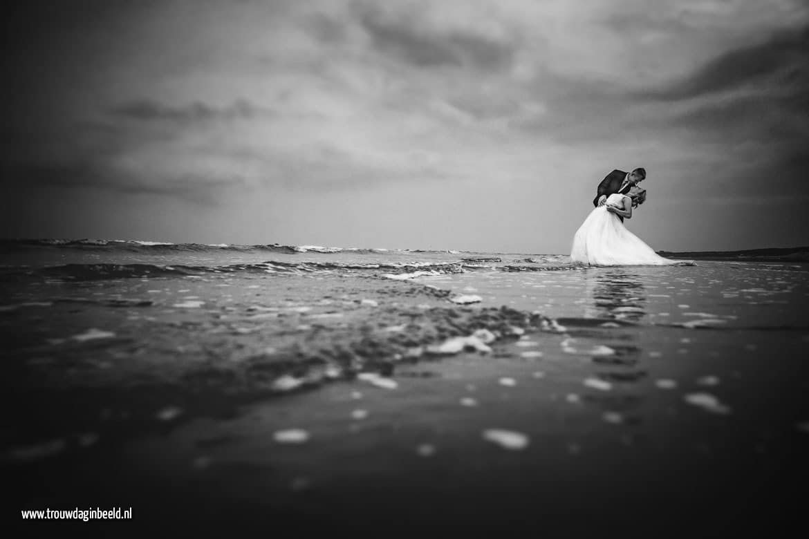 Trash the Dress