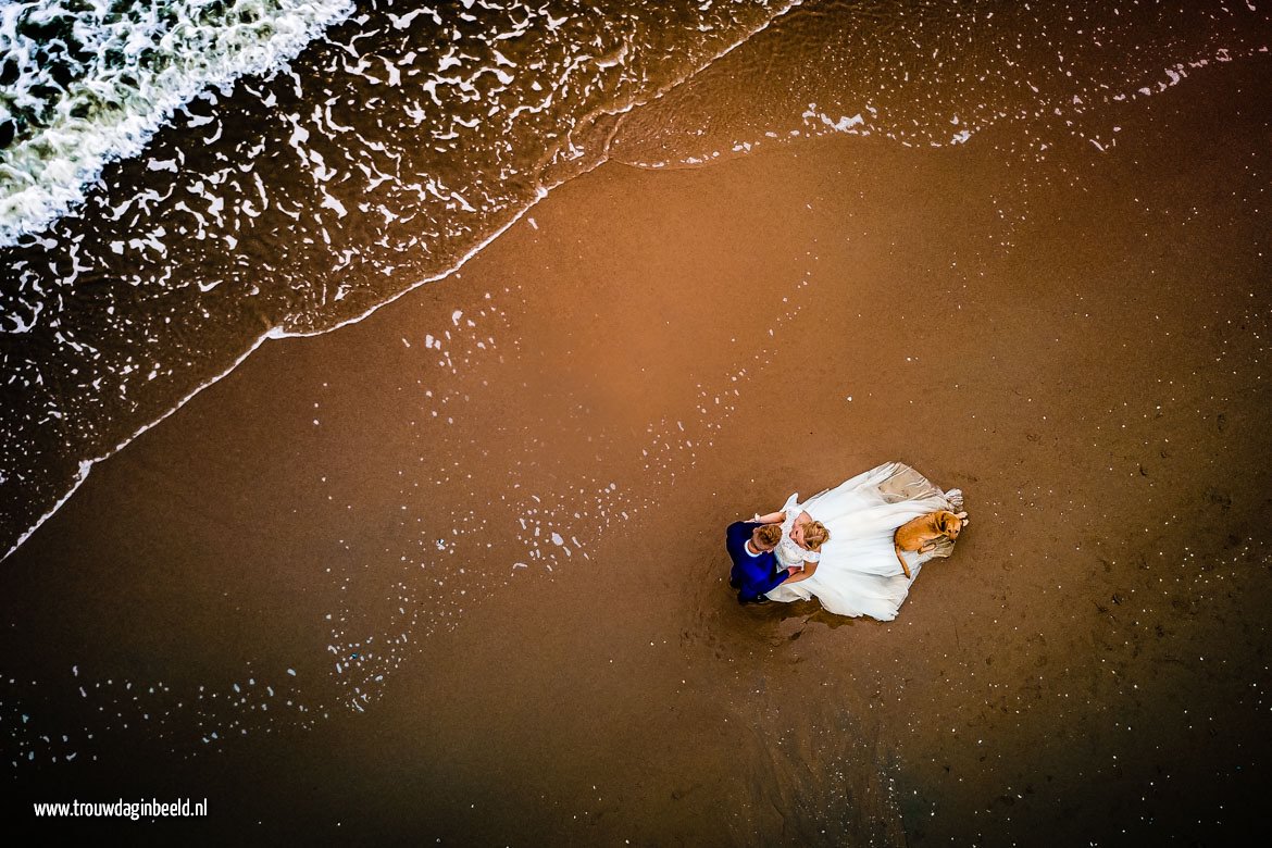 Trash the Dress