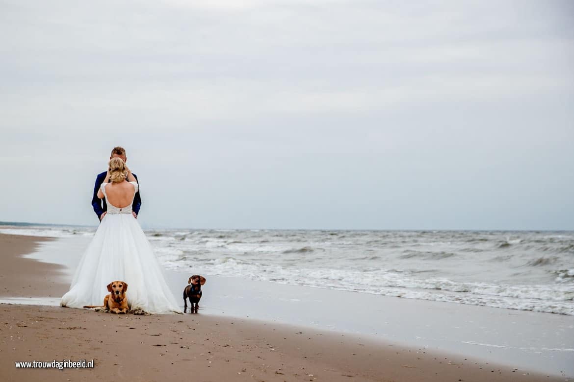 Trash the Dress