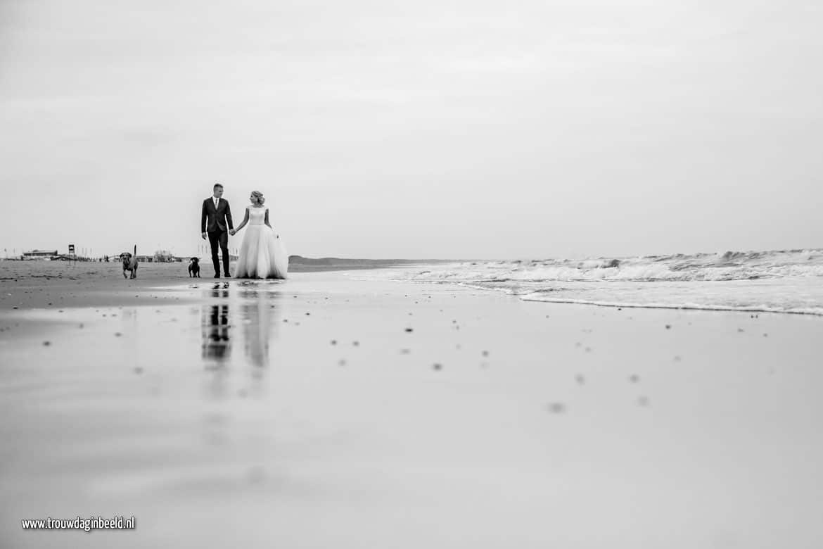 Trash the Dress