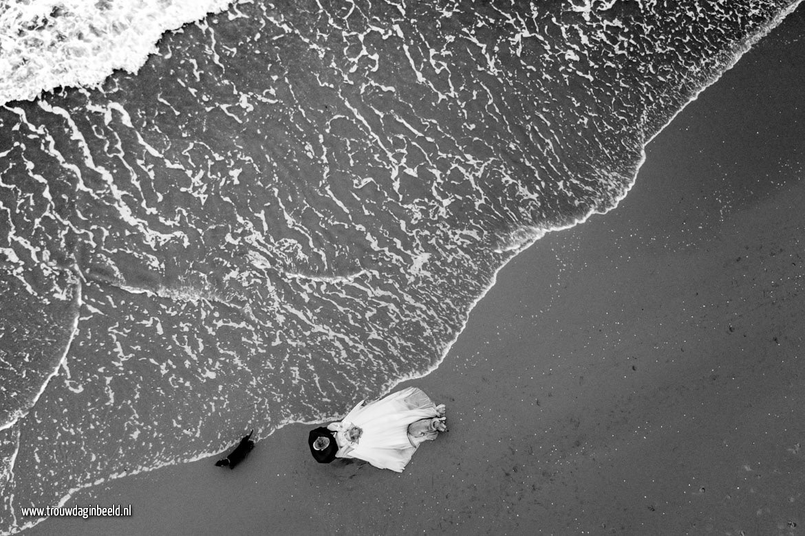 Trash the Dress