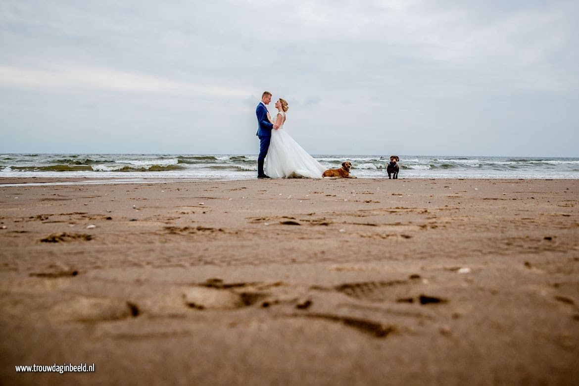 Trash the Dress