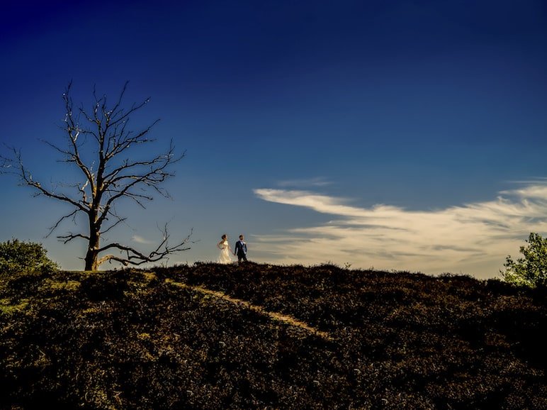 Trouwreportage Veluwe