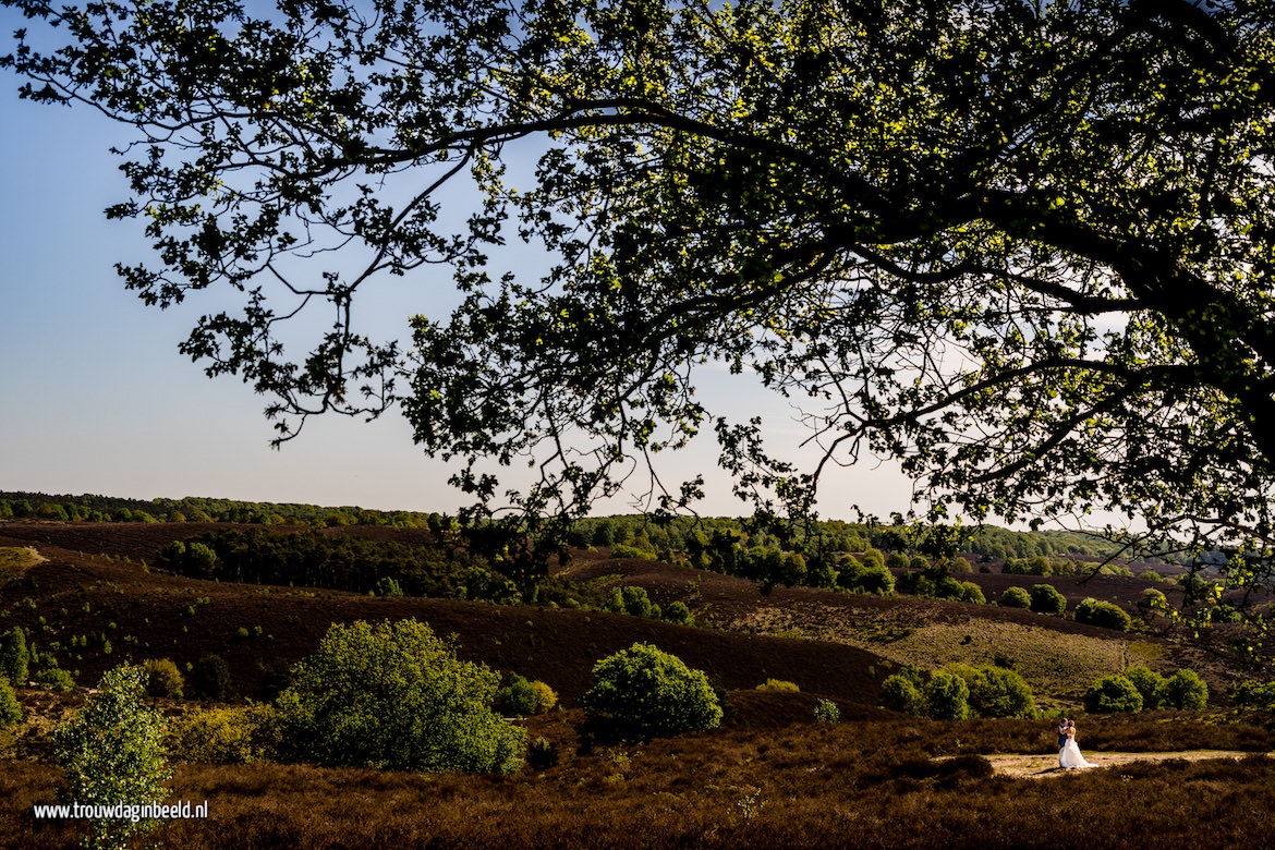 Trouwreportage Veluwe