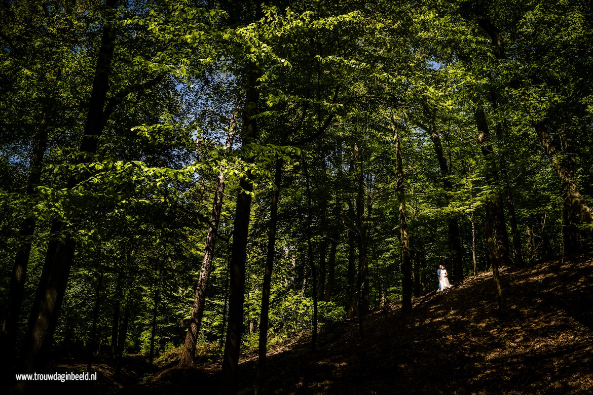 Trouwreportage Veluwe