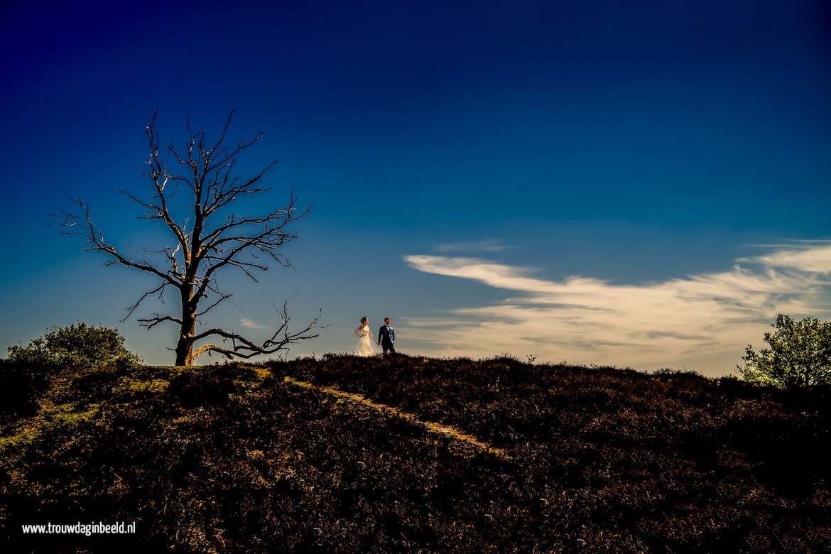 Trouwreportage Veluwe