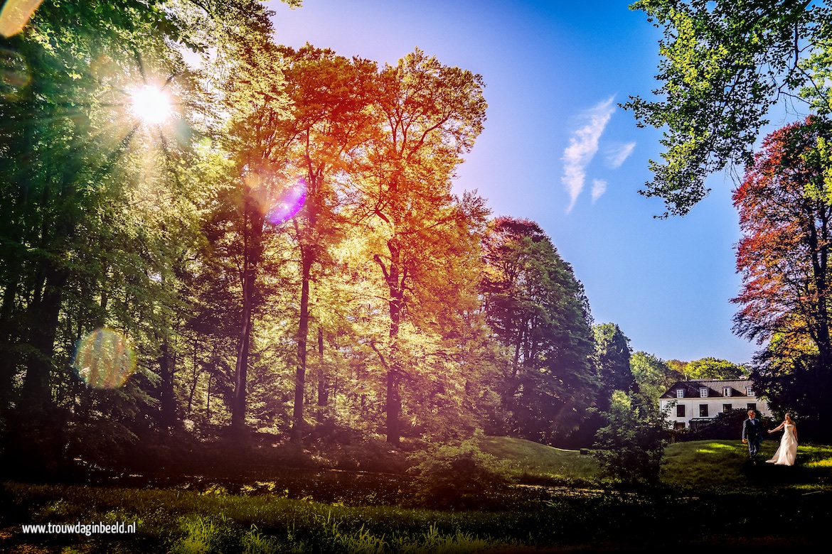 Trouwreportage Veluwe