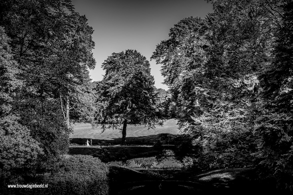 Trouwreportage Veluwe