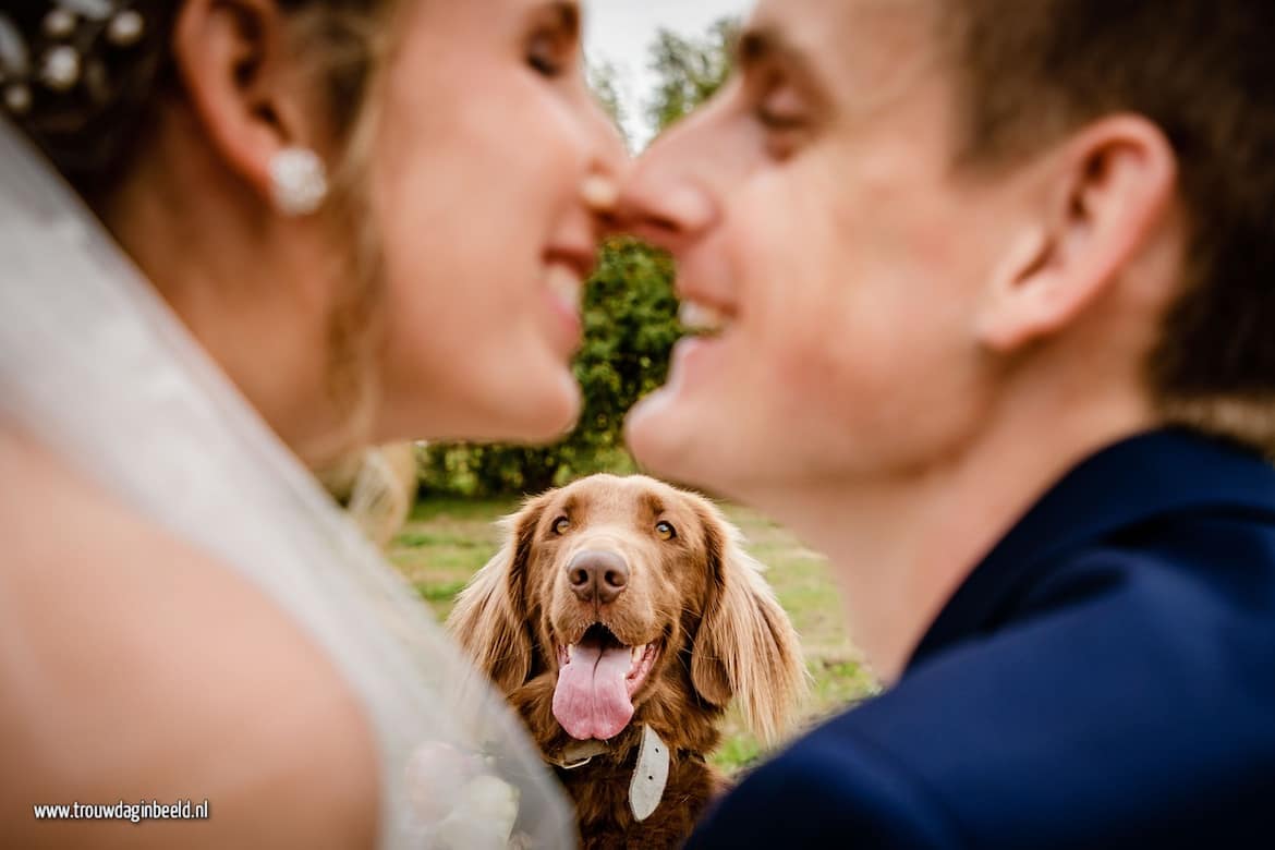 Fotograaf bruiloft Boxtel