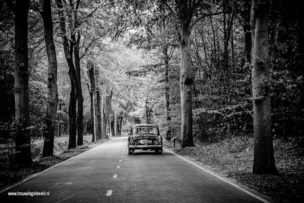 Fotograaf bruiloft Raamsdonkveer