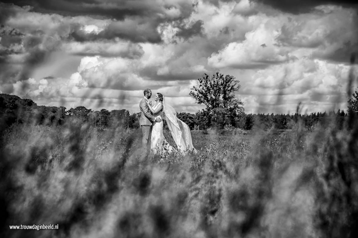Fotograaf bruiloft Raamsdonkveer