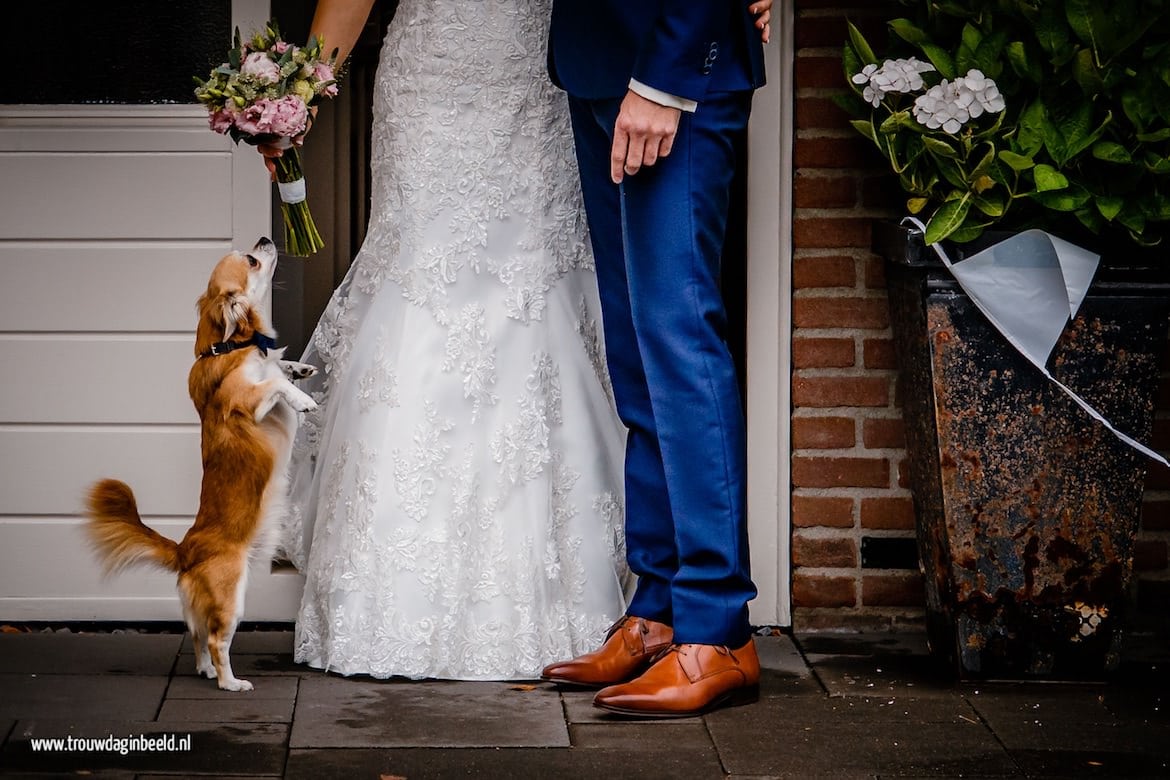 Fotograaf bruiloft Uden