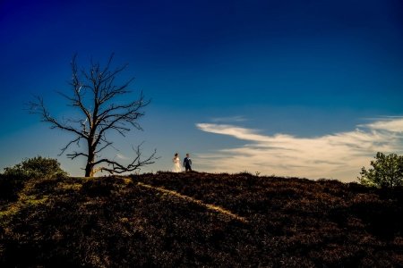 Reviews en ervaringen Trouwdag in Beeld // Jullie zijn zowel als mens als fotograaf heel erg fijn.