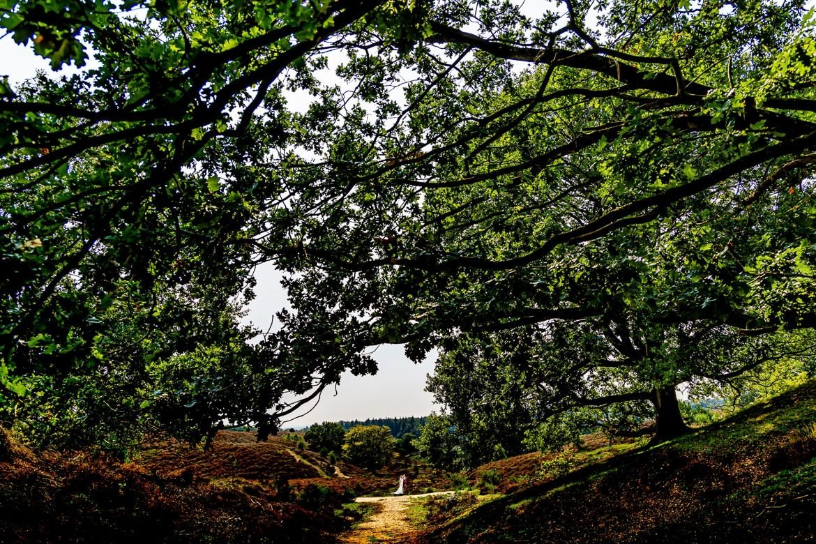 Trouwfotograaf op de Veluwe